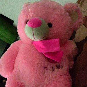 Teddy bear